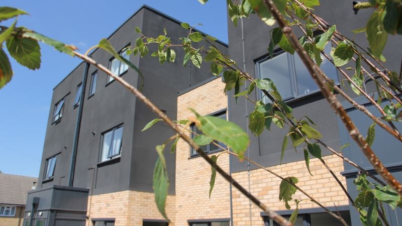 Image shows flats side by side with branches in front.