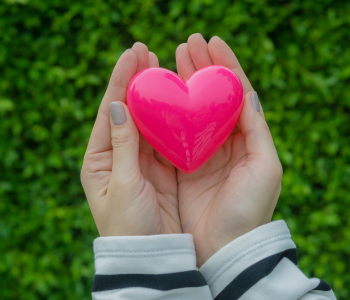 Photo of two hands holding an ornamental pink heart.